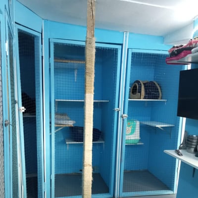 appartement individuel pension chat